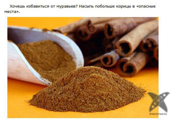 Подборочка лайфхаков