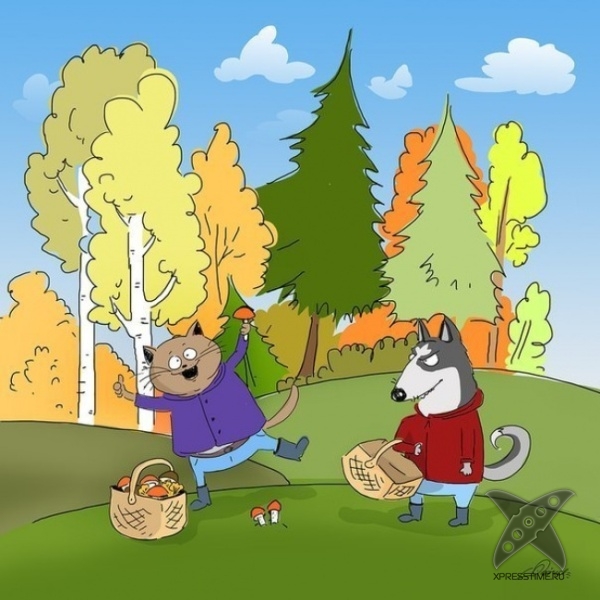 10 причин любить осень