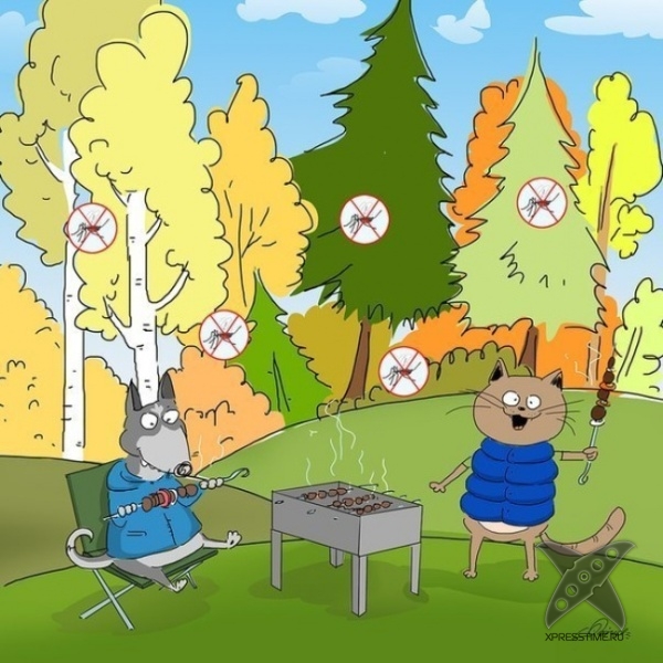 10 причин любить осень