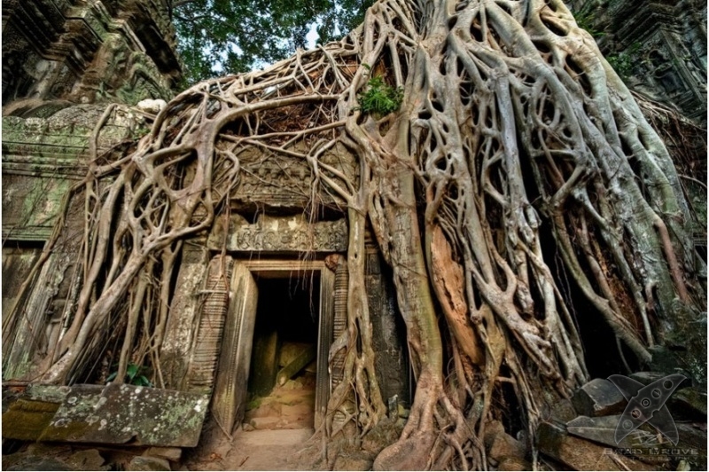 Сила природы