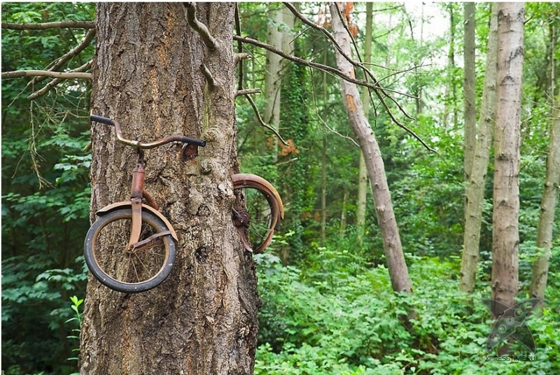 Сила природы