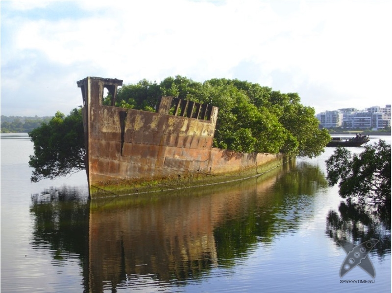 Сила природы