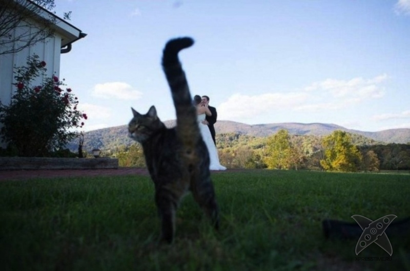 Ужасные свадебные фотографии