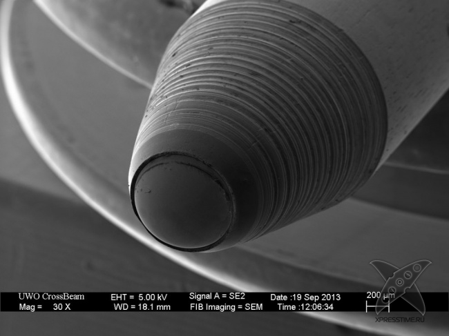 Взгляд на вещи глазами микроскопа