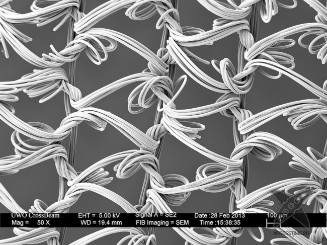 Взгляд на вещи глазами микроскопа