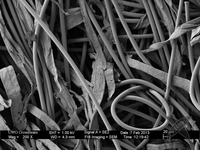 Взгляд на вещи глазами микроскопа