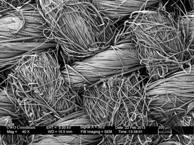 Взгляд на вещи глазами микроскопа