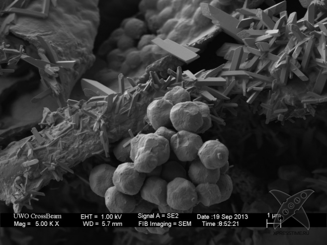 Взгляд на вещи глазами микроскопа