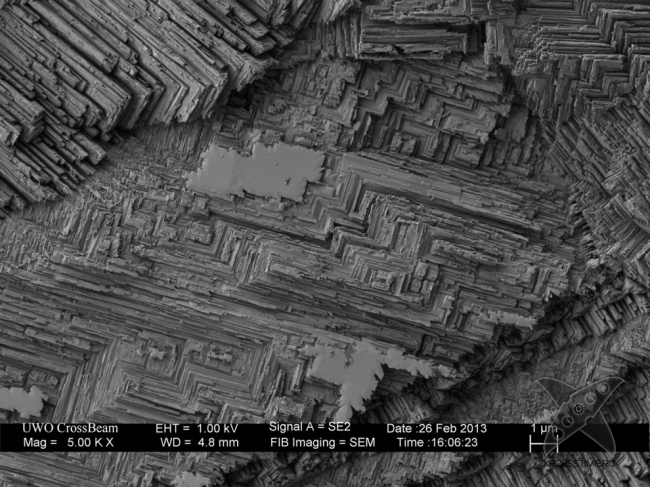 Взгляд на вещи глазами микроскопа