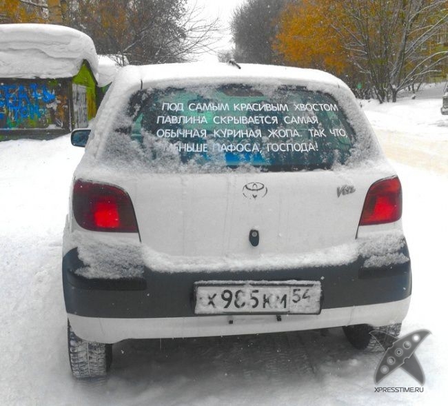 Забавные надписи на авто