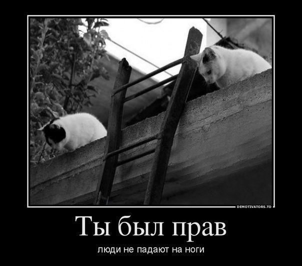 С просторов..-15