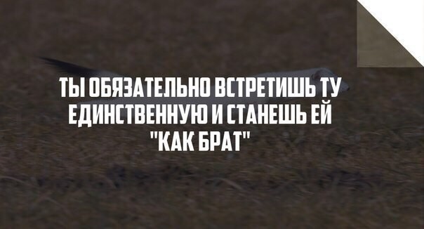 С просторов..-22