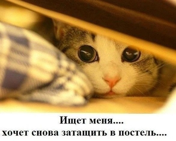 С просторов..-23