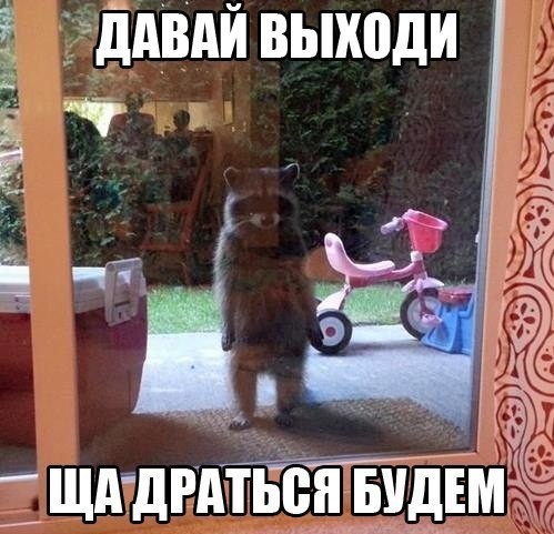 С просторов..-4