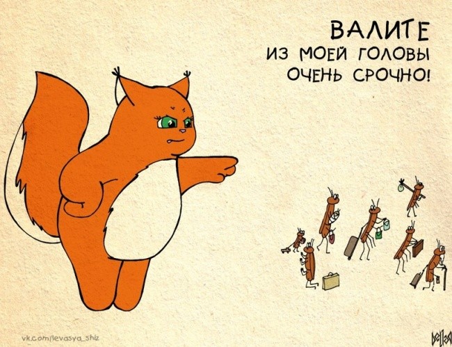 Белка Ши как типичная представительница девушек-21