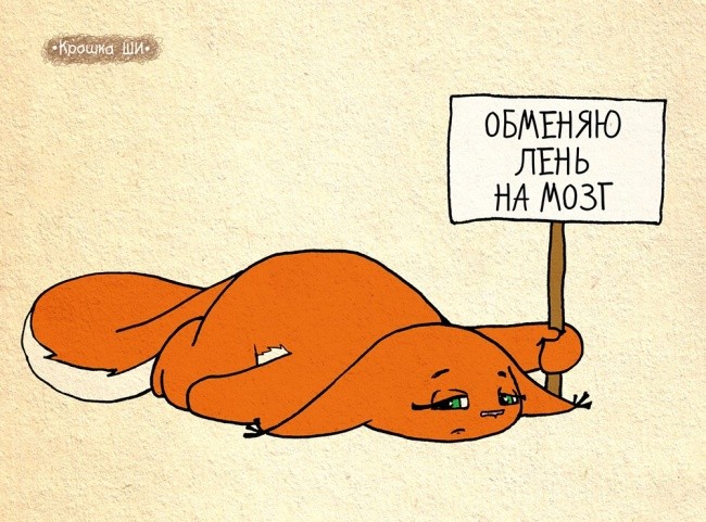 Белка Ши как типичная представительница девушек-3