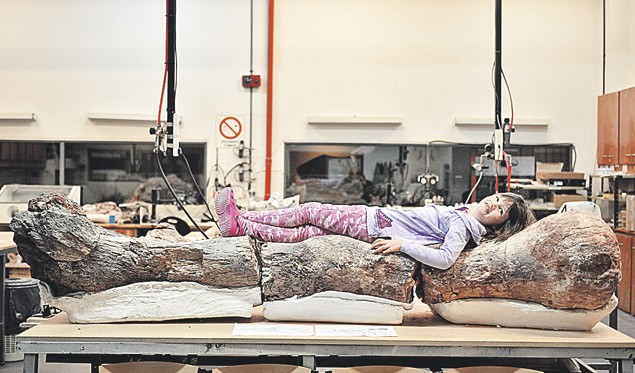 Пять самых ярких открытий ученых в 2014 году-5