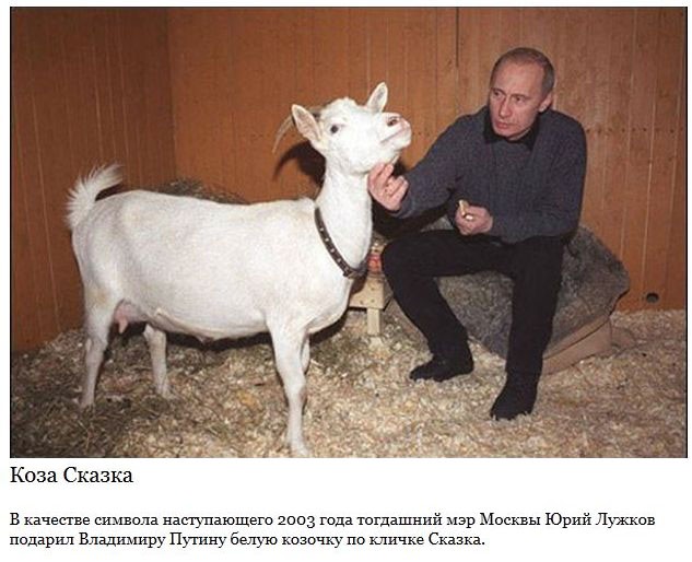 Самые запоминающиеся подарки Путину-10