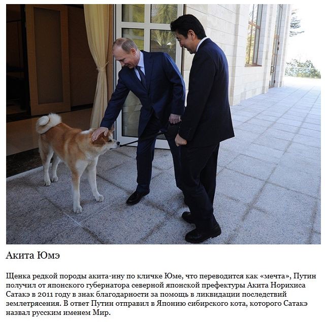 Самые запоминающиеся подарки Путину-11