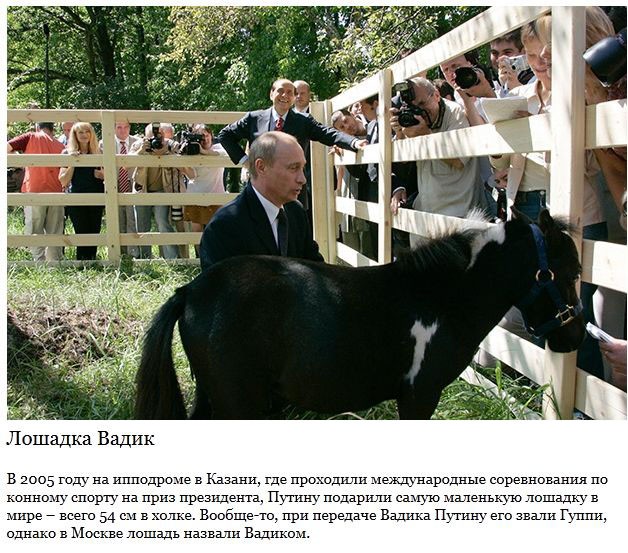 Самые запоминающиеся подарки Путину-12