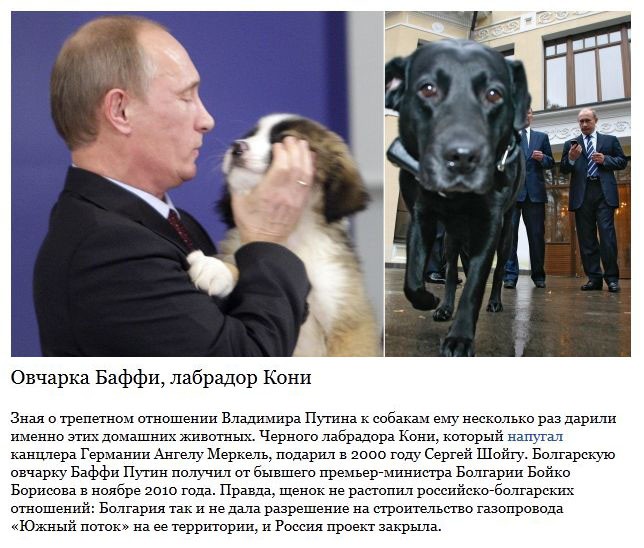 Самые запоминающиеся подарки Путину-8