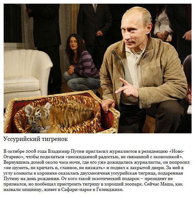 Самые запоминающиеся подарки Путину-9