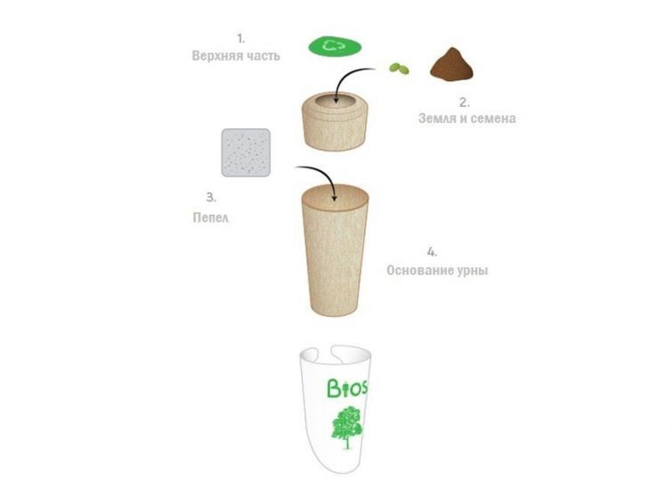 Превращение в дерево после смерти-3