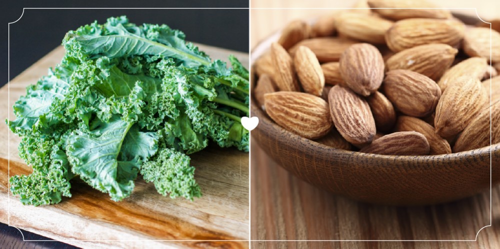 Продукты, которые лучше всего работают в паре-10