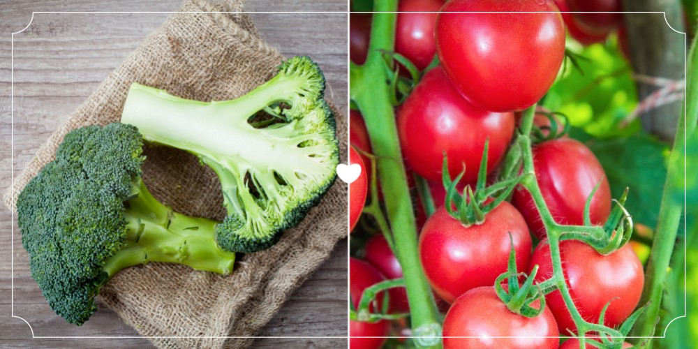 Продукты, которые лучше всего работают в паре-6