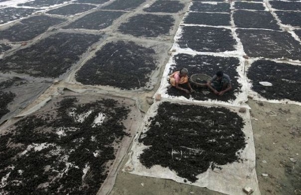 Где производят кожаную одежду-3