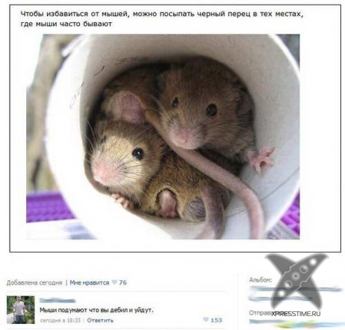 Приколы из социальных сетей