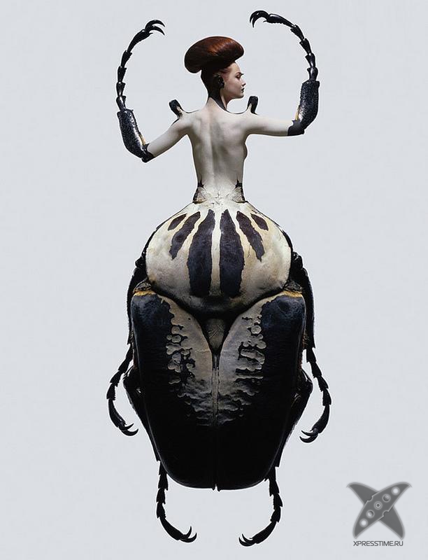 Красота женщин-насекомых