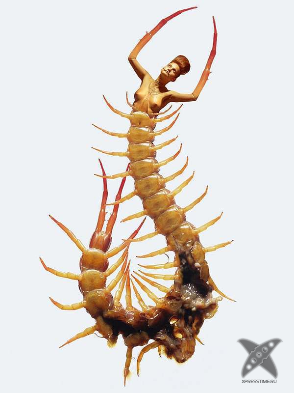 Красота женщин-насекомых