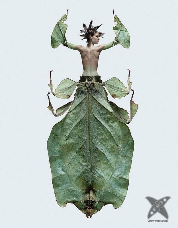 Красота женщин-насекомых