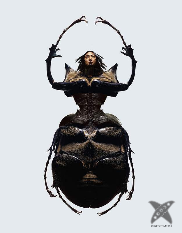 Красота женщин-насекомых