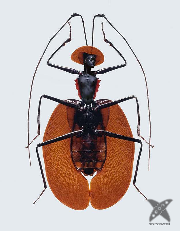 Красота женщин-насекомых