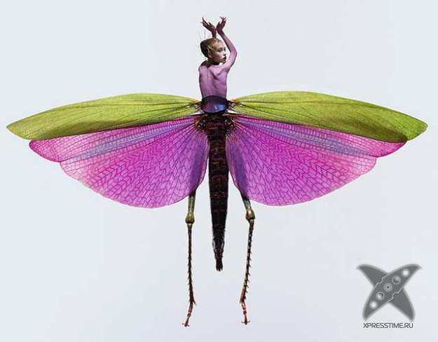 Красота женщин-насекомых