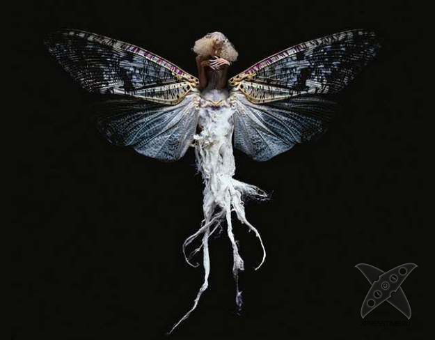 Красота женщин-насекомых