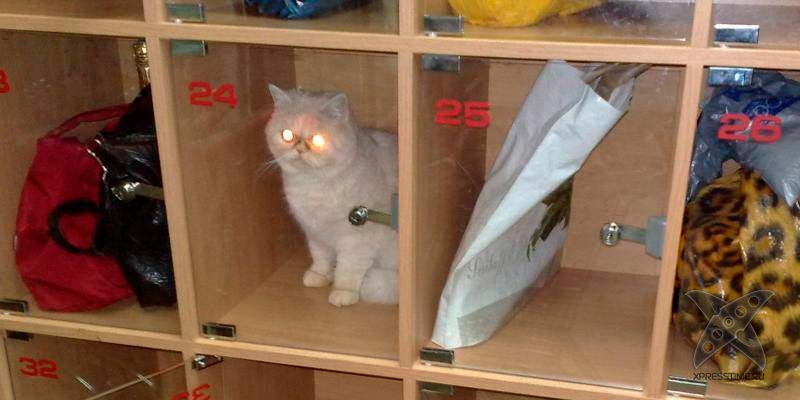 Камеры хранения в магазинах