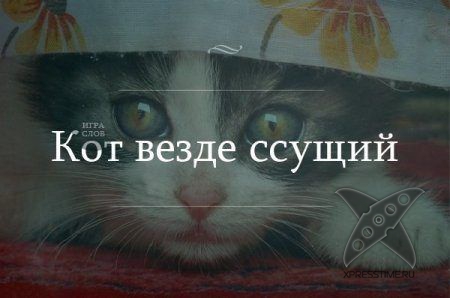 Жизненные афоризмы