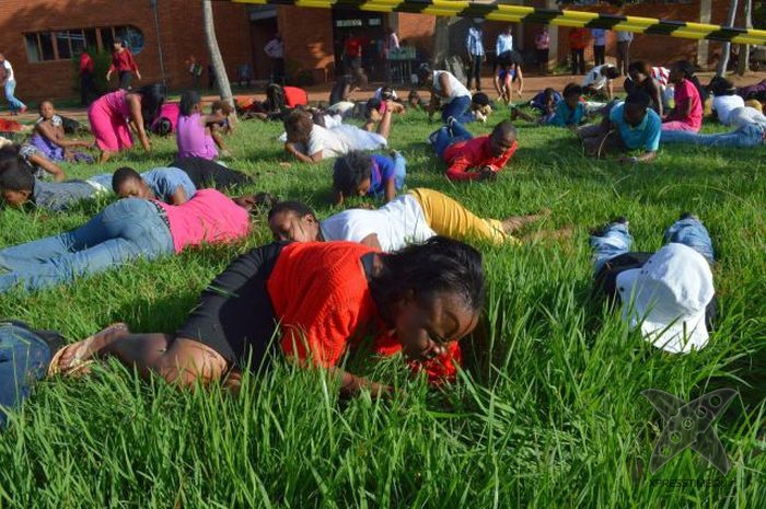 Жрите траву - будете здоровы