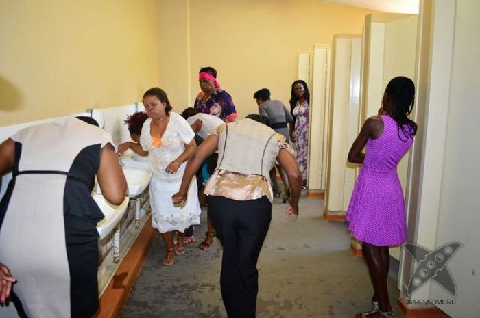 Жрите траву - будете здоровы