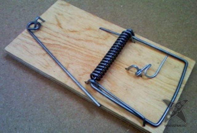 Виды мышеловок