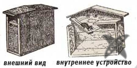 Виды мышеловок