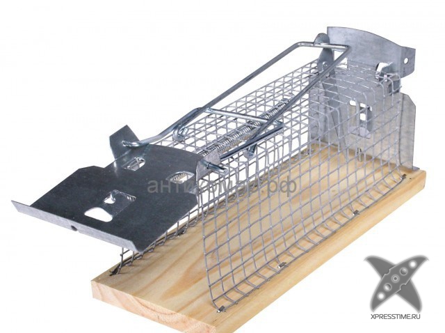 Виды мышеловок