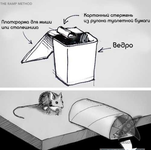 Виды мышеловок