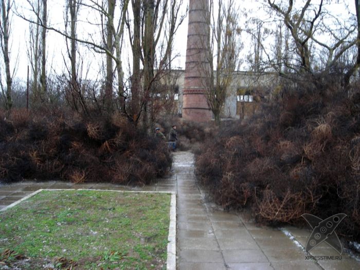 Перекати-поле захватили крымский посёлок