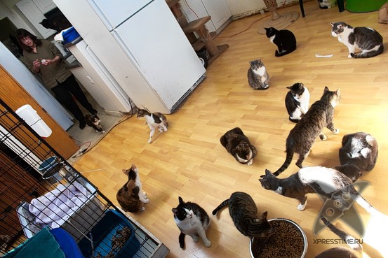 Недостатки женщин