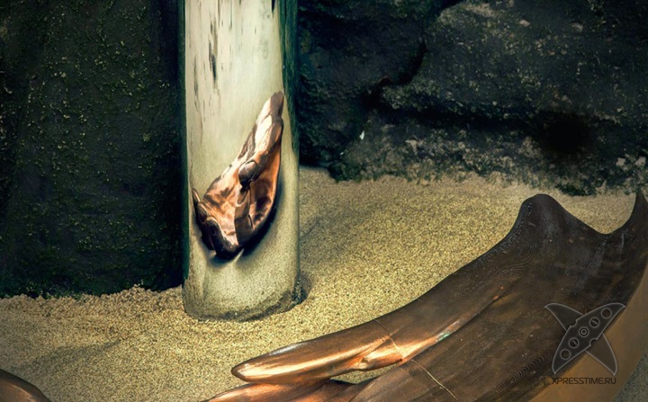 Искажение наоборот