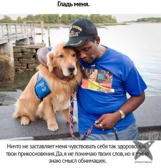 Берегите своих питомцев